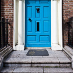 Wycieraczka wewnętrzna Biedronki 60 x 40 cm antykurzowa