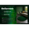 Dywan Bellarossa Rabbit butelkowa zieleń