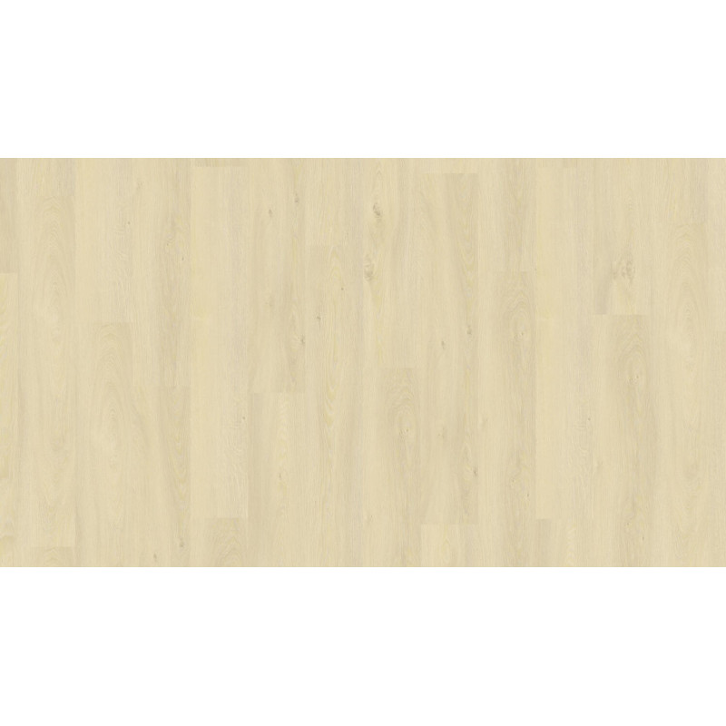 Panele LVT SPC- panele nowej generacji- SUPER CENA I JAKOŚĆ