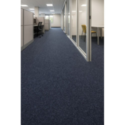 WYKŁADZINA IGŁOWANA TURBO 5101 RAFOU SAPPHIRE