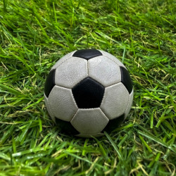 Sztuczna trawa Verde, 25 mm Gruba wysoka i miękka trawa na balkon taras